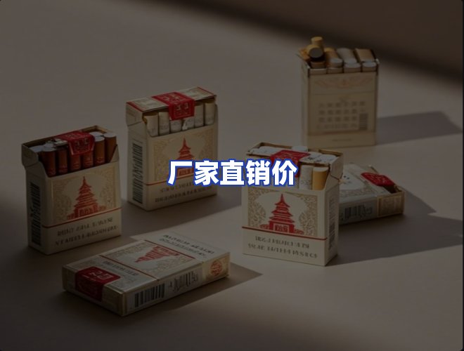 专业团队
